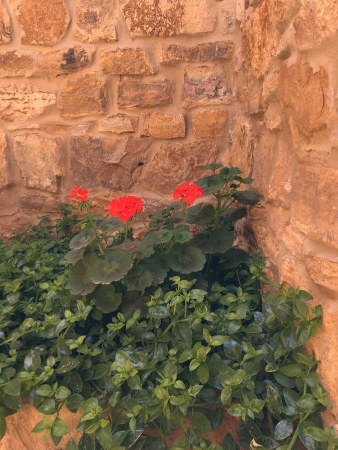 Wadi Dana Lodge - نزل وادي ضانا 外观 照片